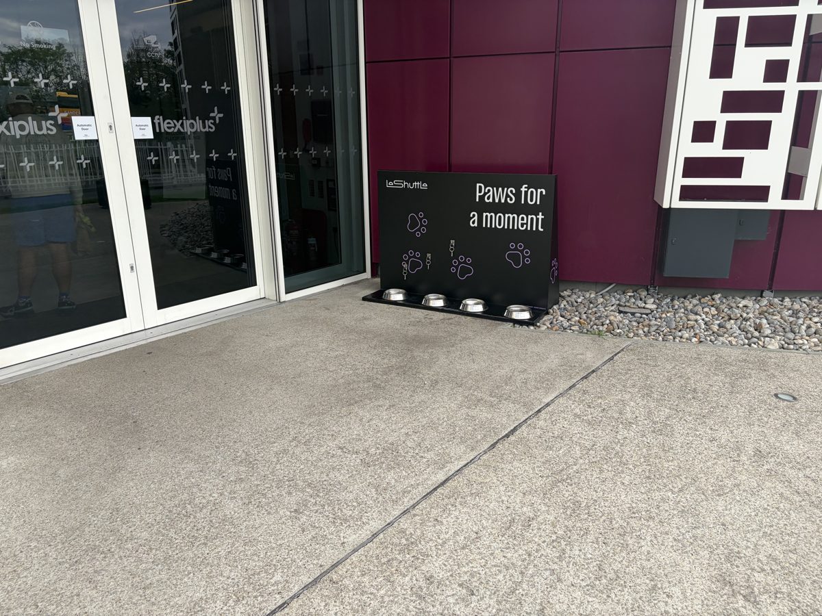 Paws For A Moment dog water bowls outside the Flexiplus lounge at Folkestone
